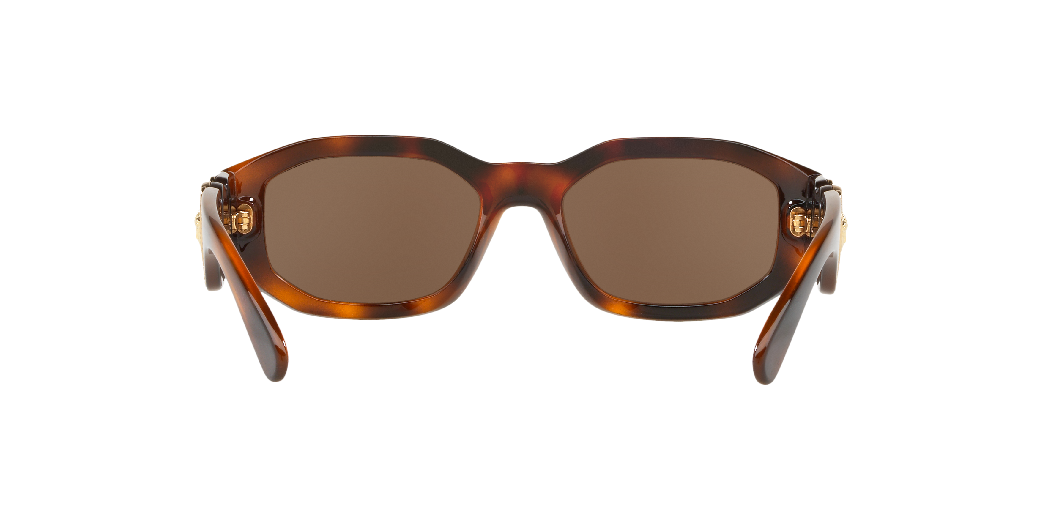 VE4361 Tortoise/Dark Brown/Polarized