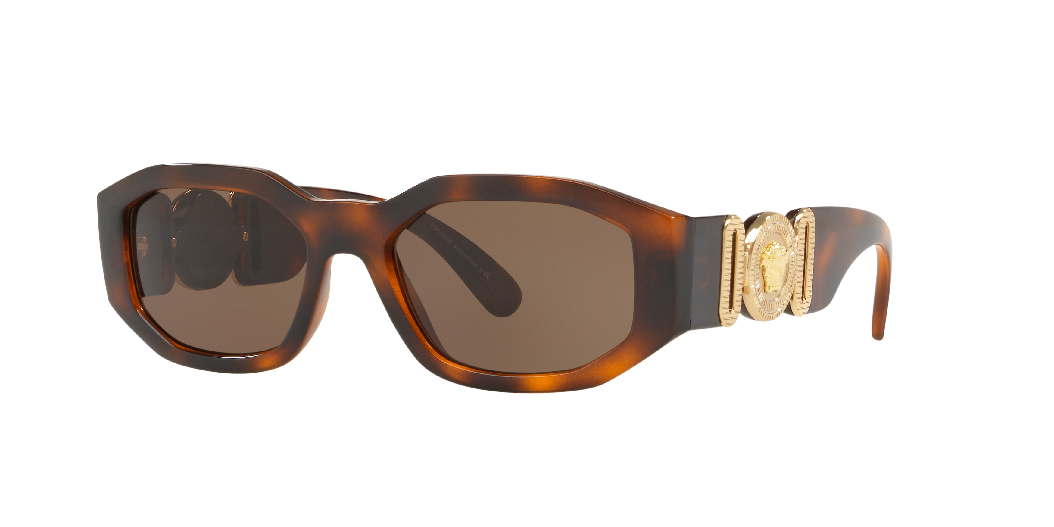 VE4361 Tortoise/Dark Brown/Polarized