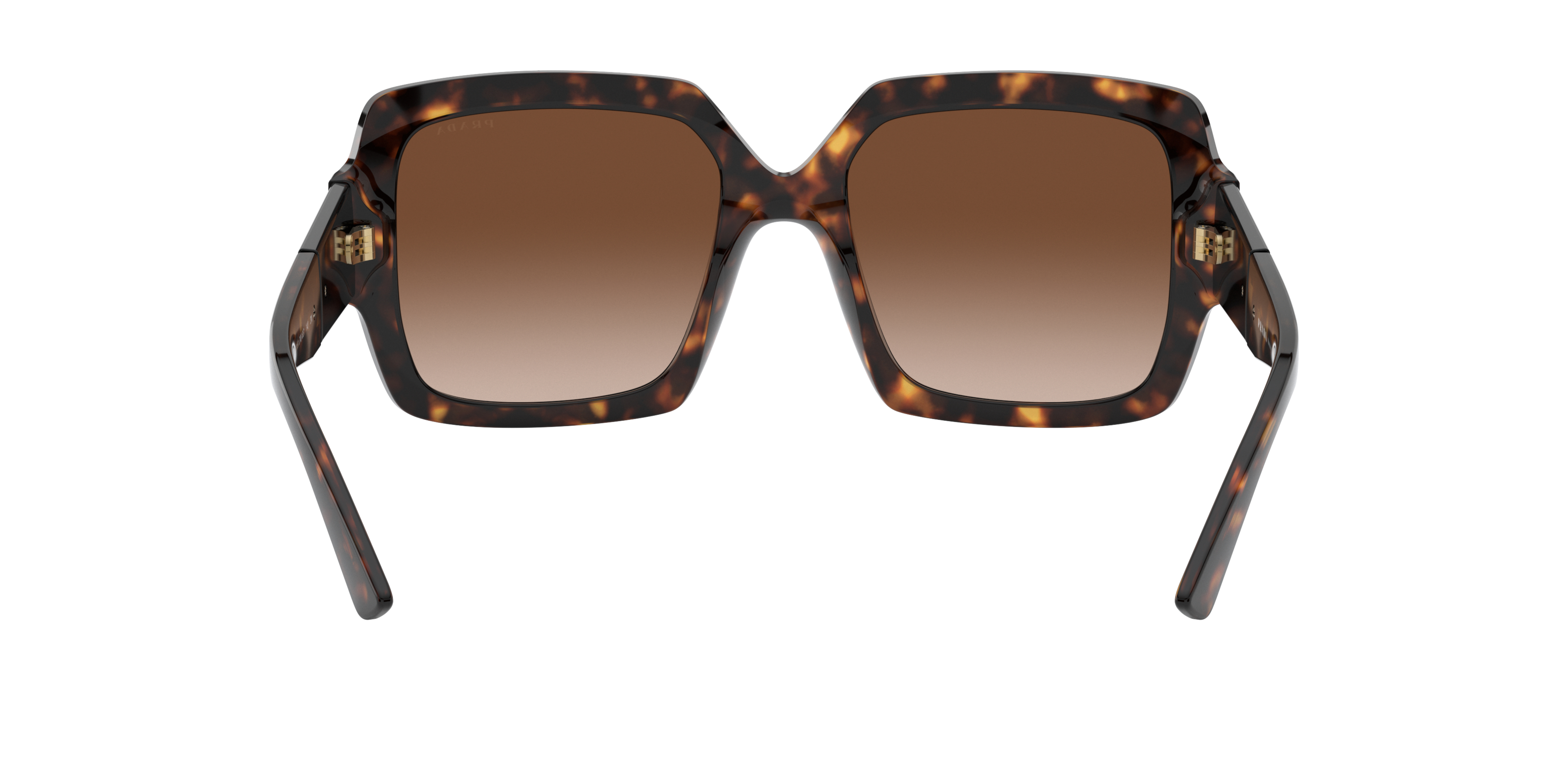 PR 21XS /Brown Gradient