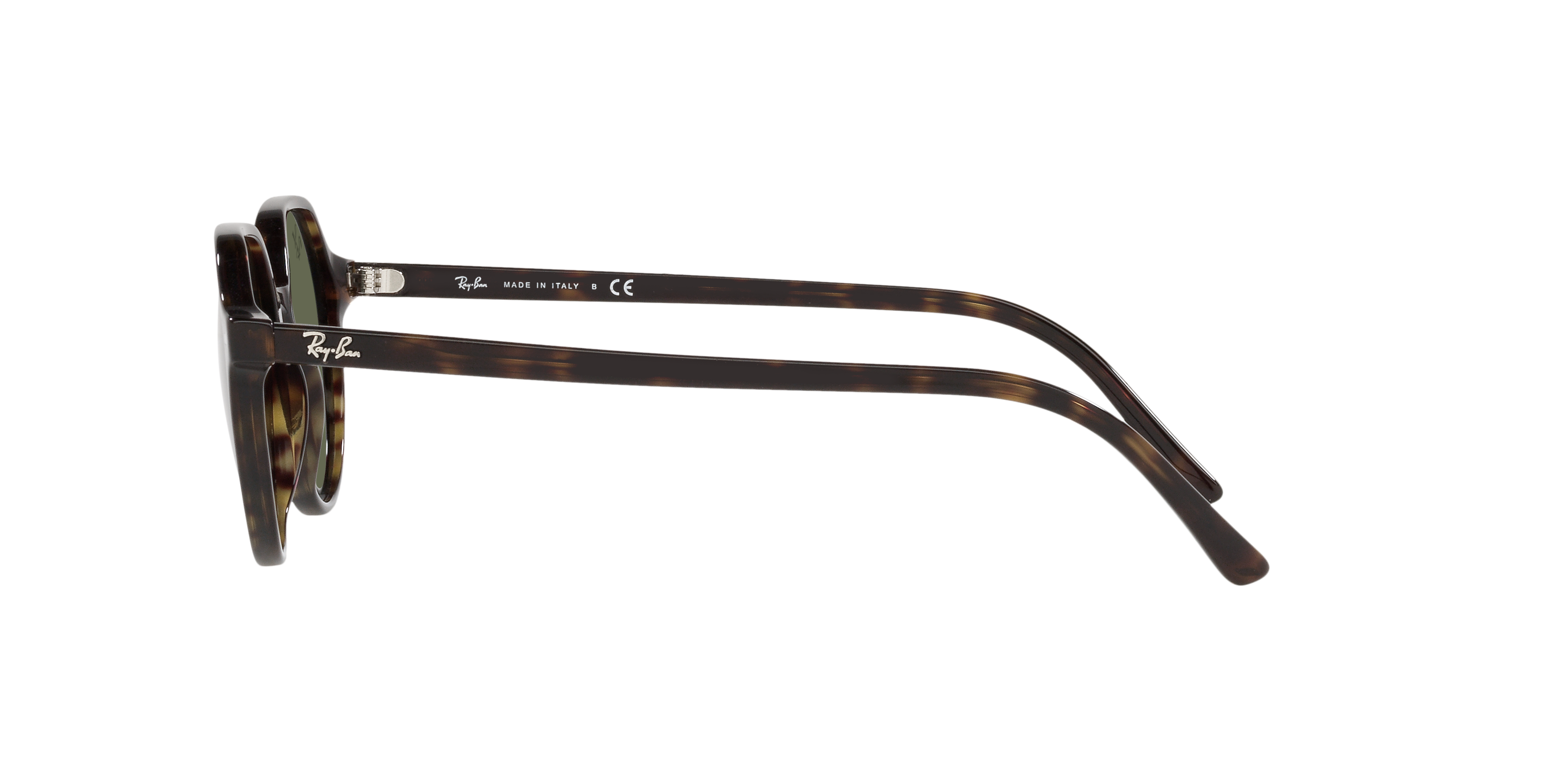 RB2195 Tortoise/Green Classic G-15 S