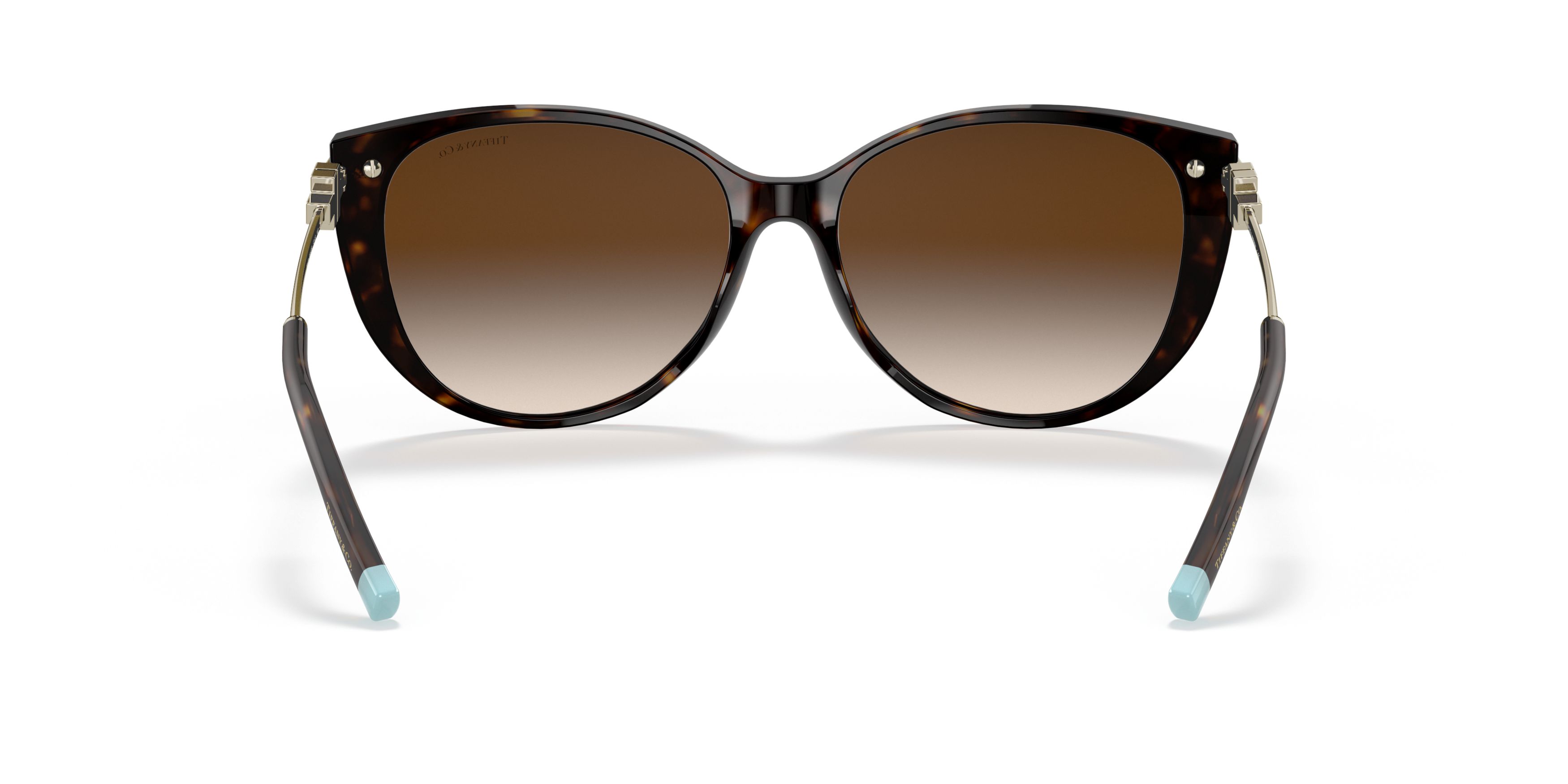 TF4178 Gold/Brown Gradient XL