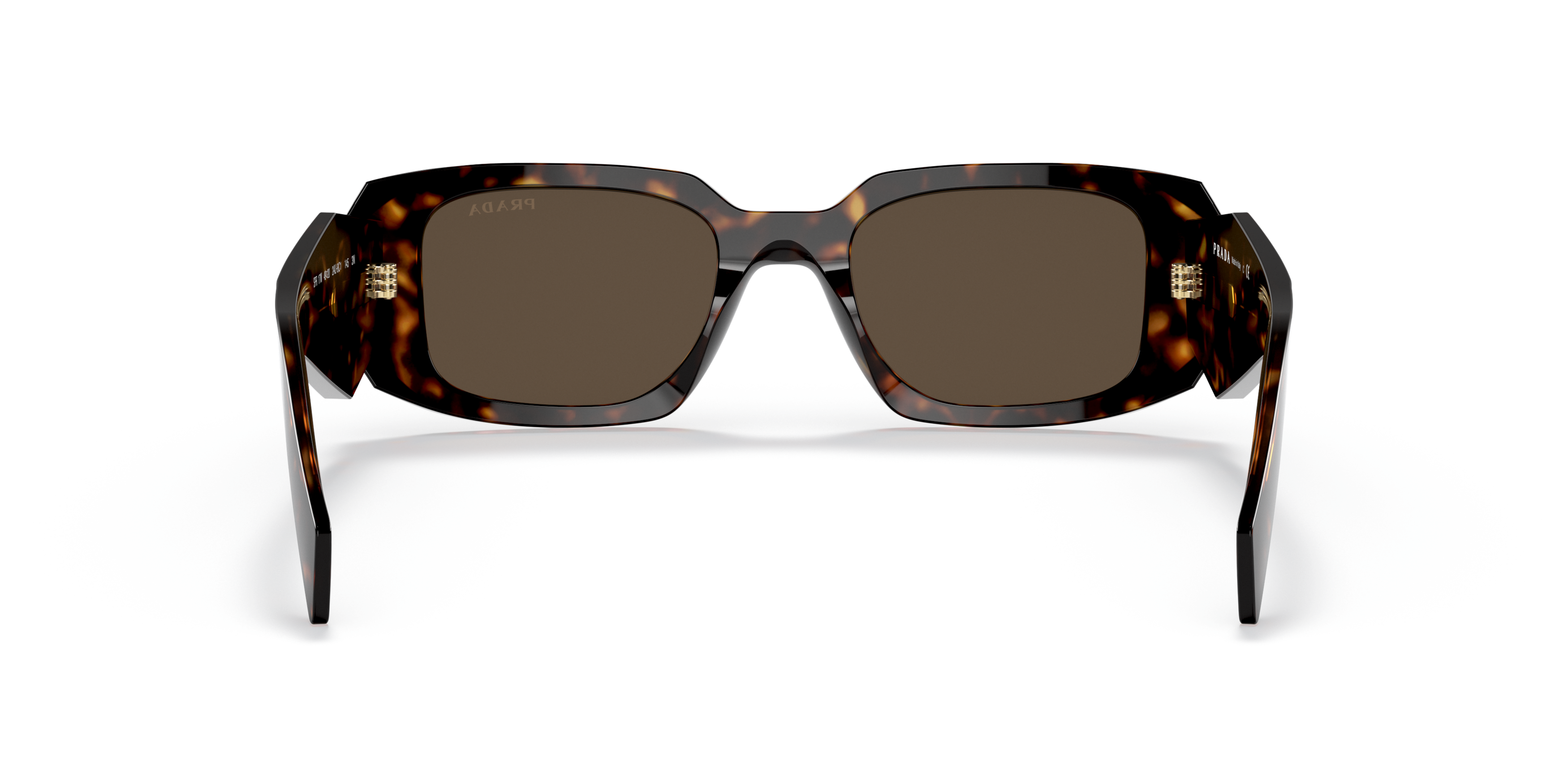 PR 17WS Tortoise/Brown S