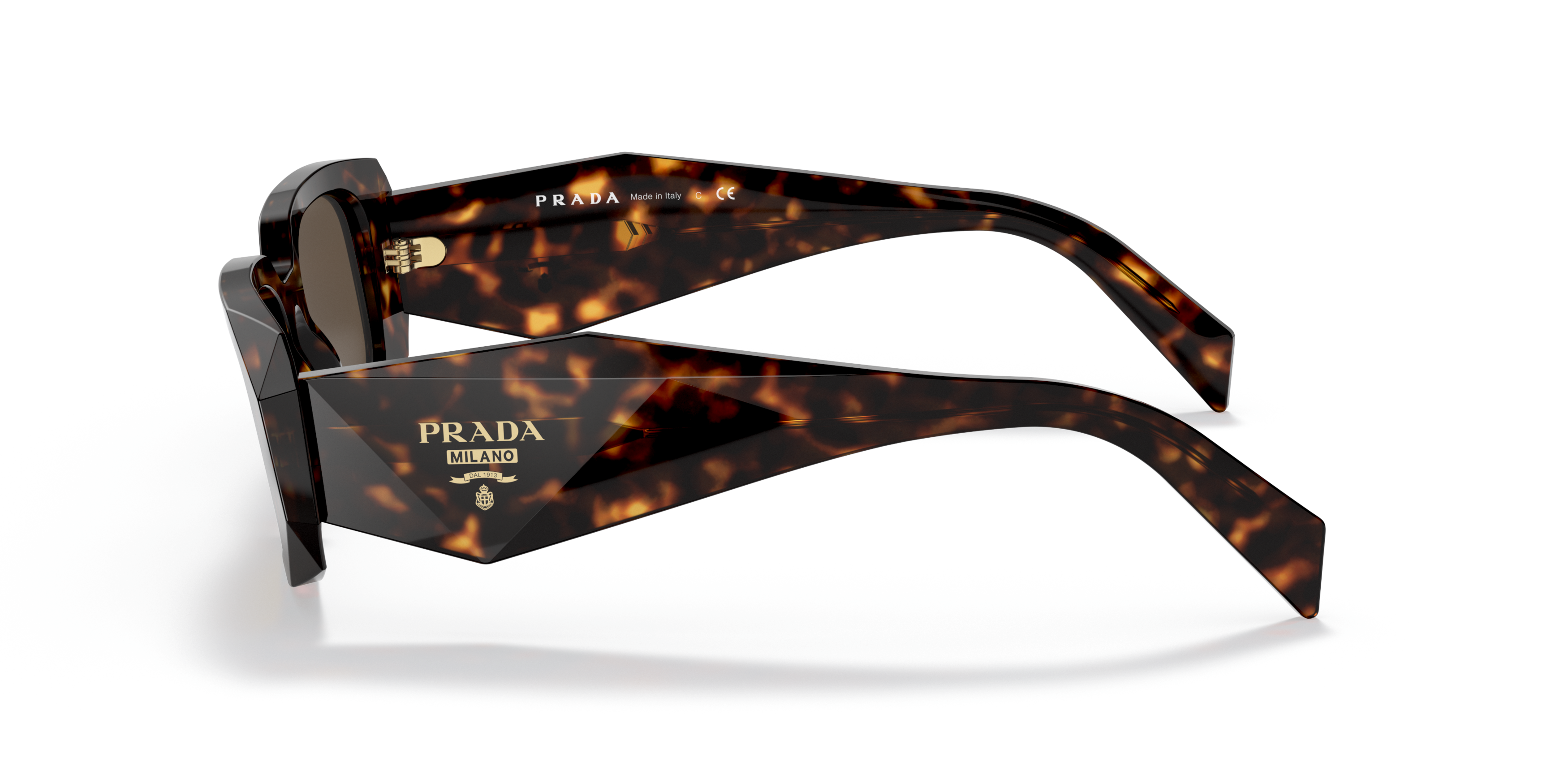 PR 17WS Tortoise/Brown S