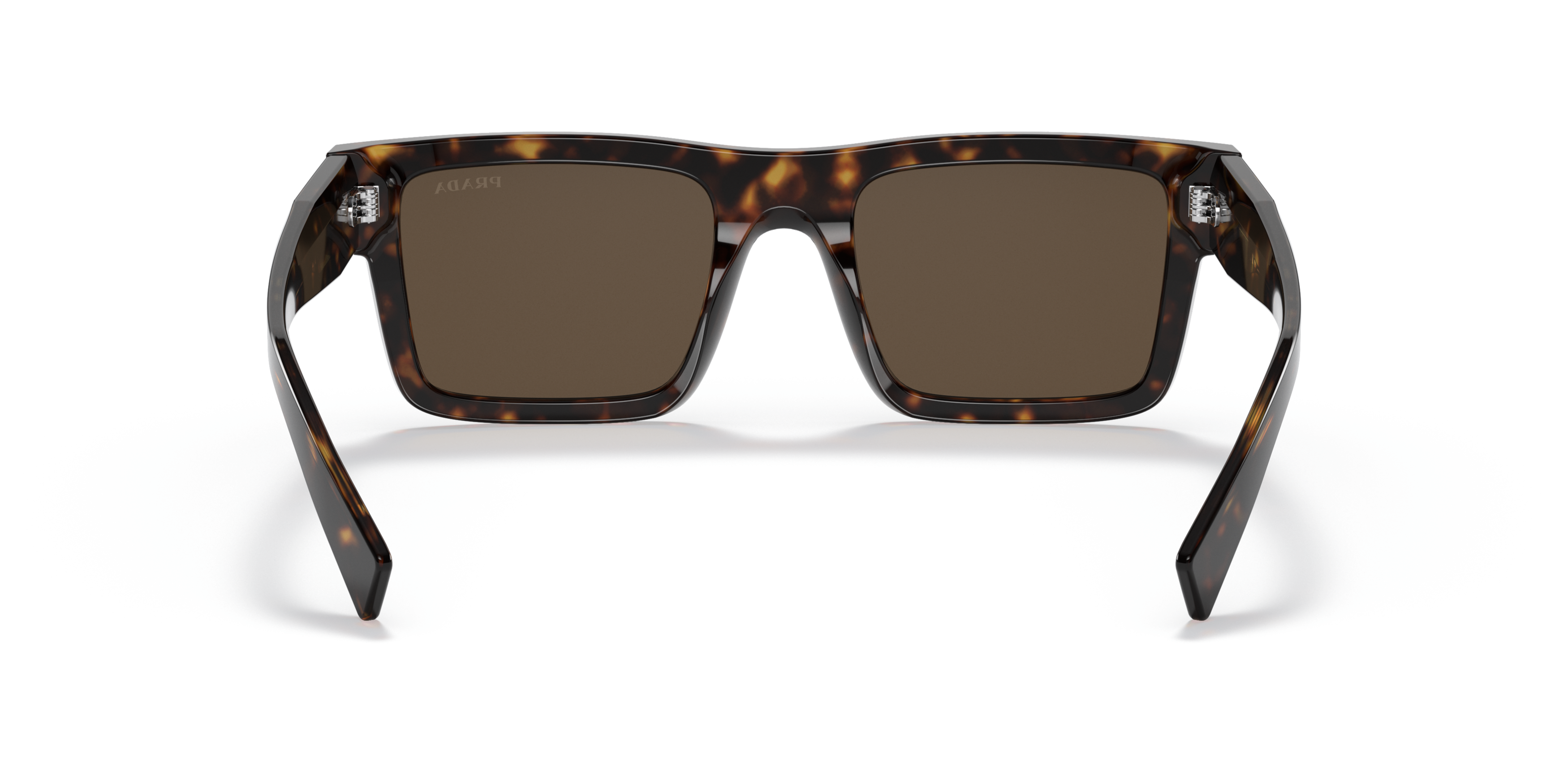 PR 19WS Tortoise/Dark Brown M