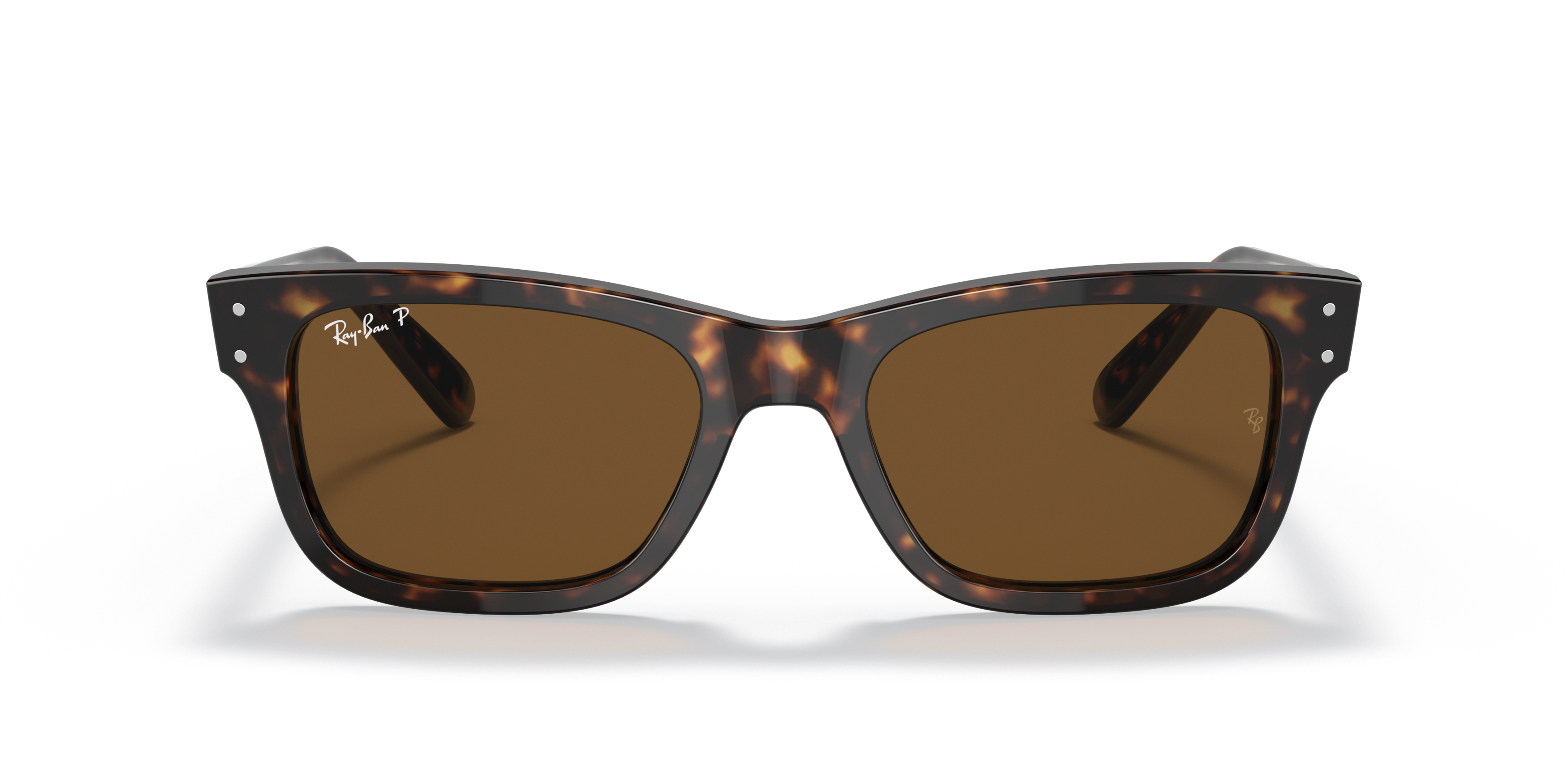 RB2283 Tortoise/Polarized Brown Classic B-15/Polarized STD