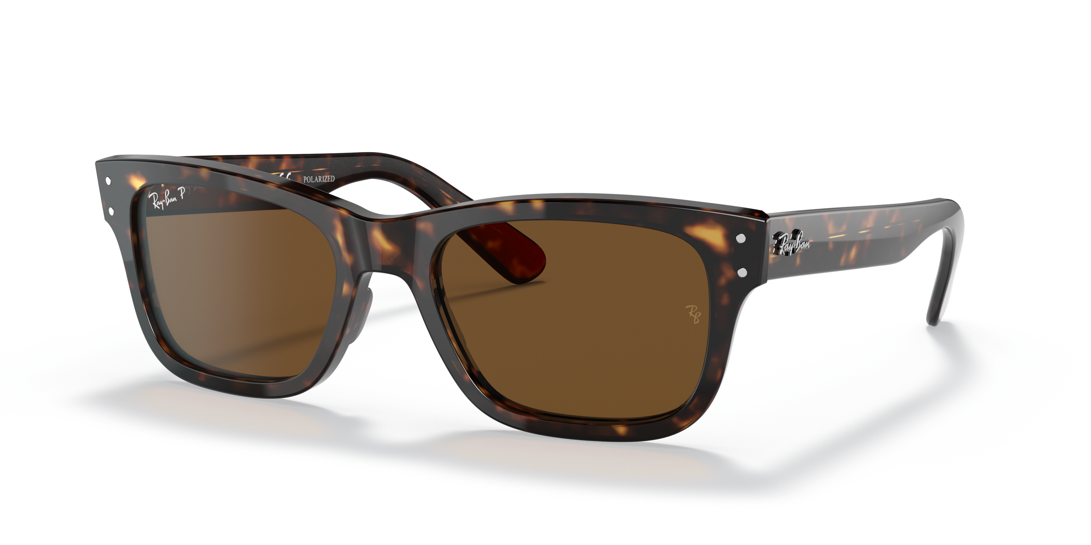RB2283 Tortoise/Polarized Brown Classic B-15/Polarized STD