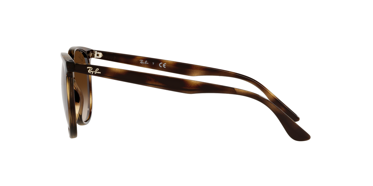 RB4378 Brown/Gradient Brown – SunglassHut UAE