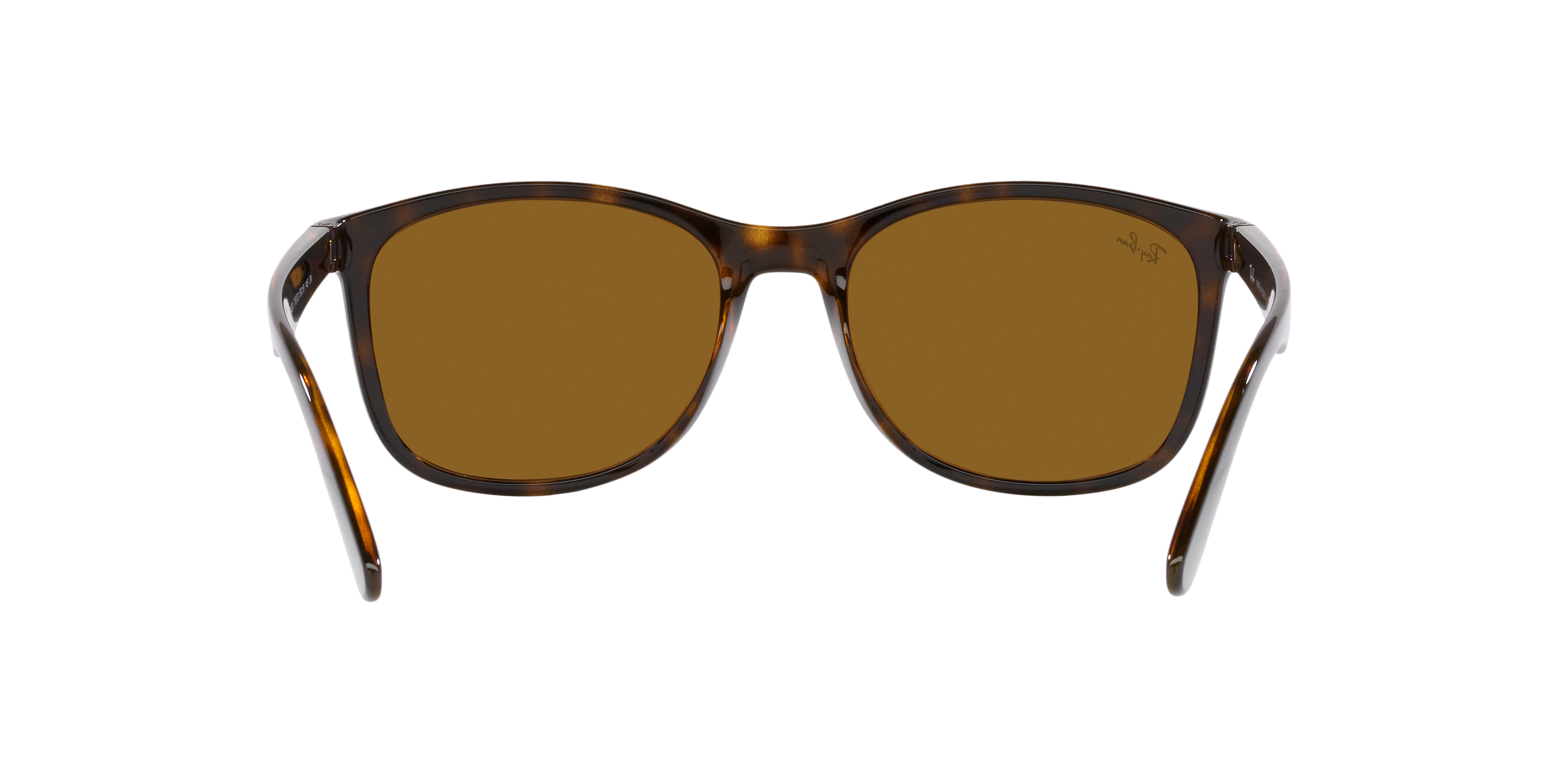 RB4374 Brown/Brown
