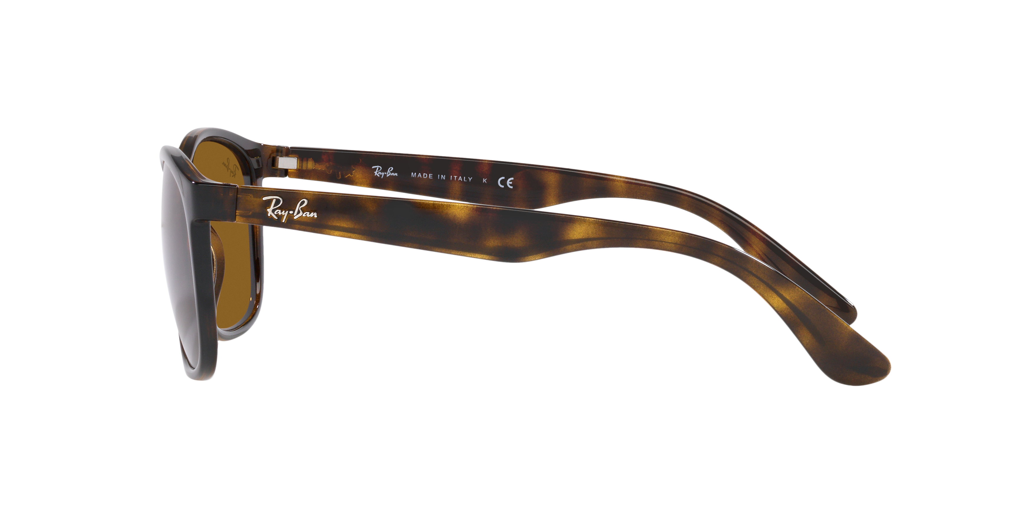 RB4374 Brown/Brown