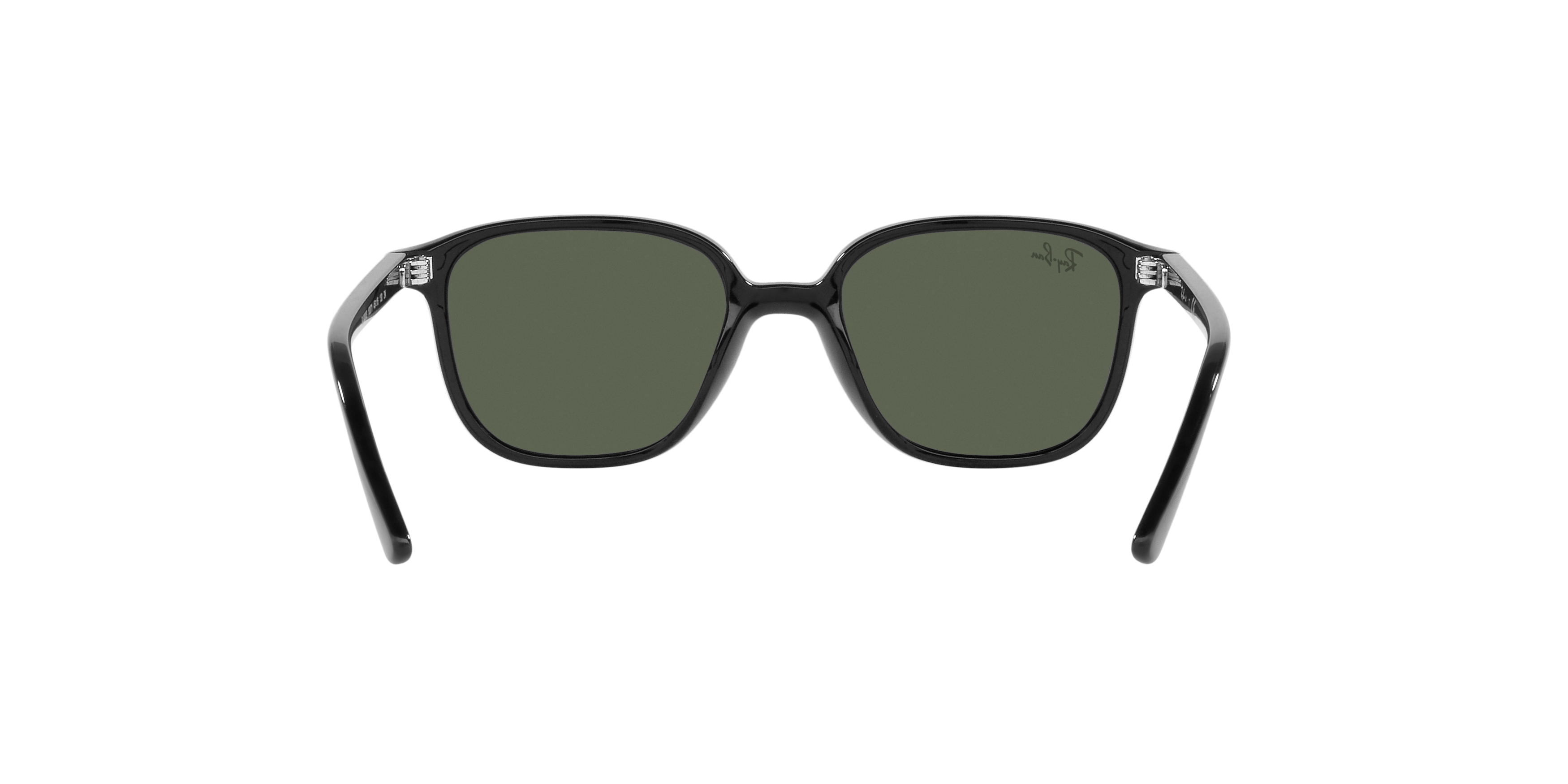 RB9093S Black/Dark Green/Polarized