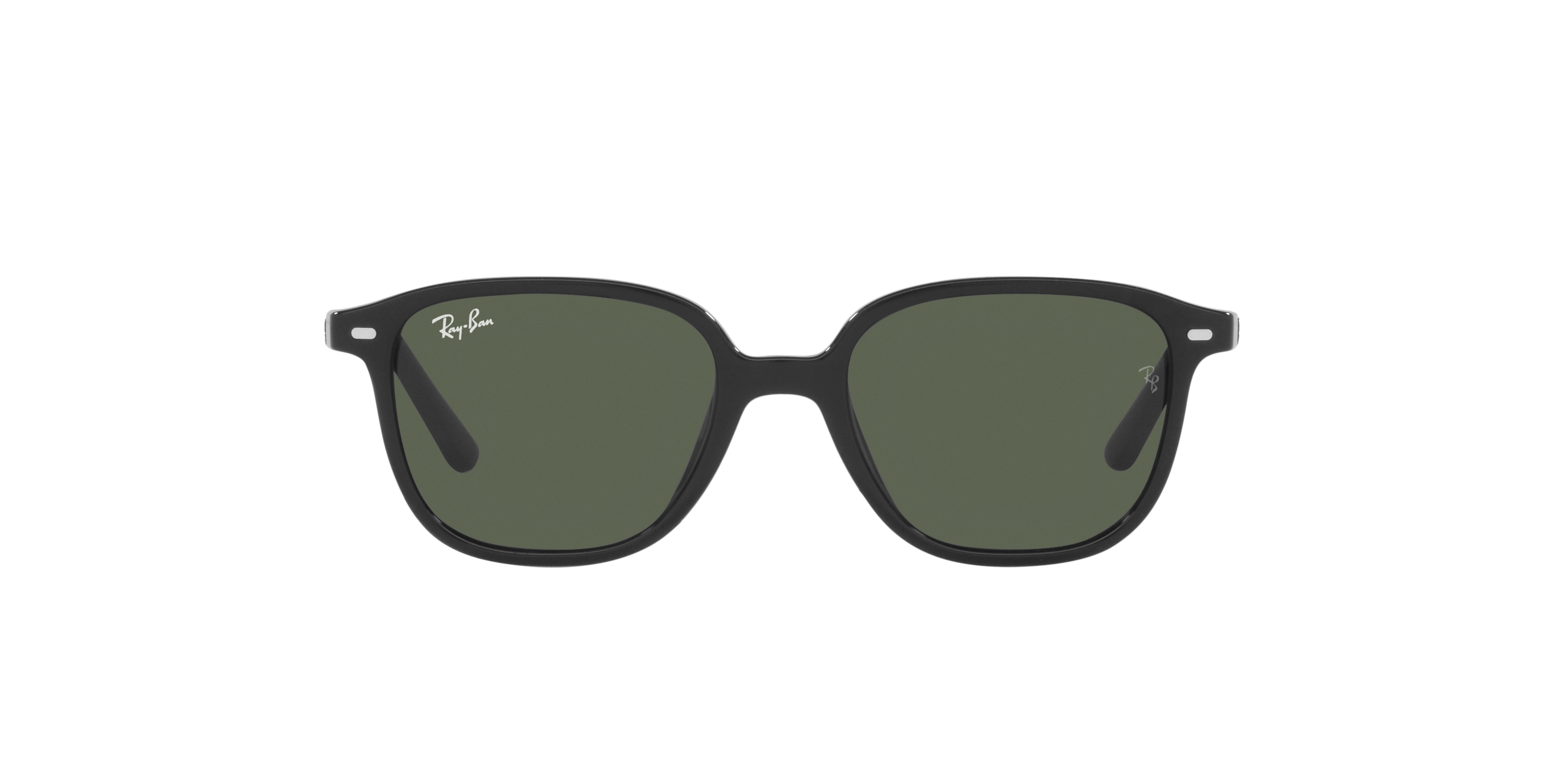 RB9093S Black/Dark Green/Polarized