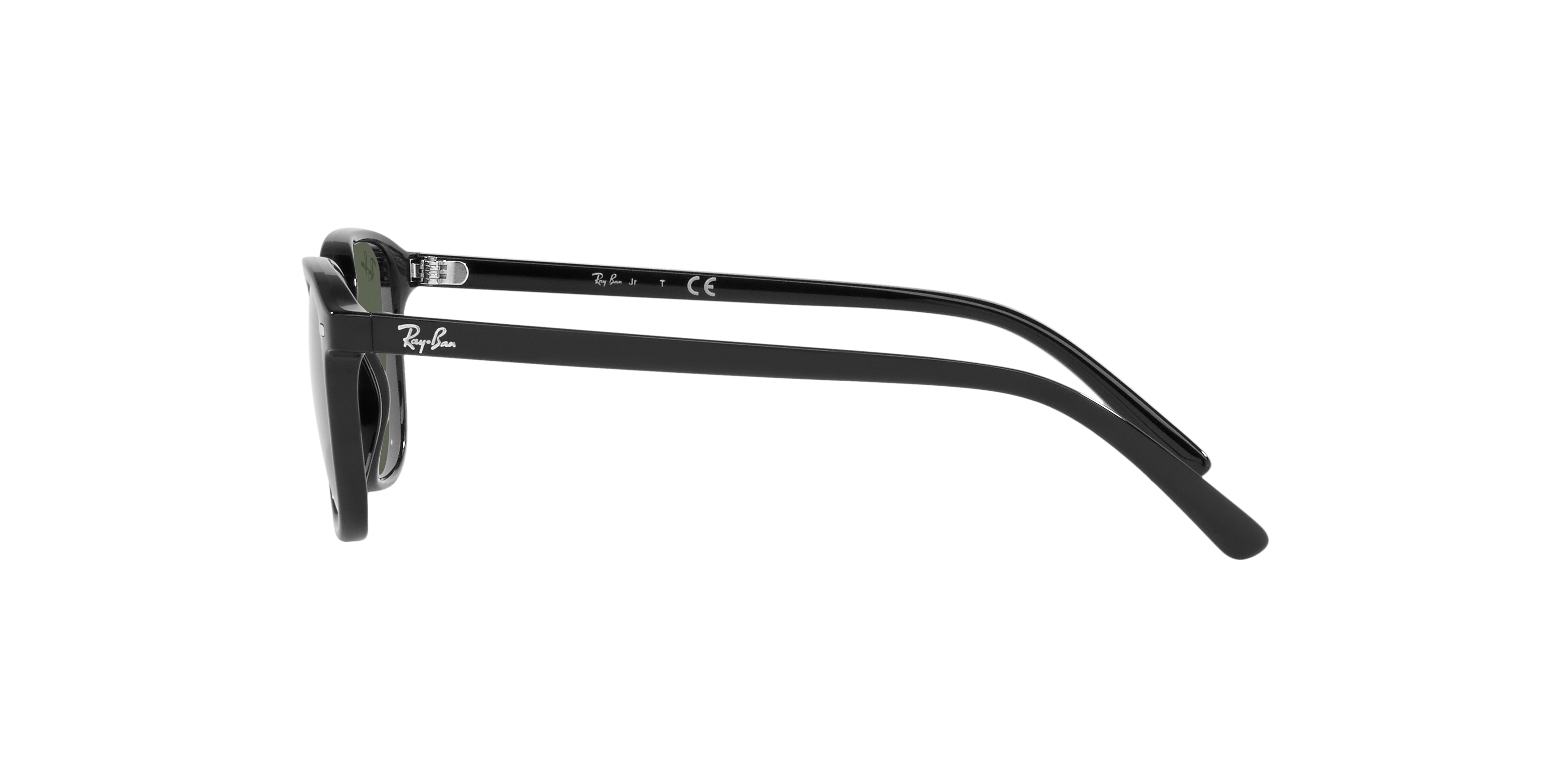 RB9093S Black/Dark Green/Polarized