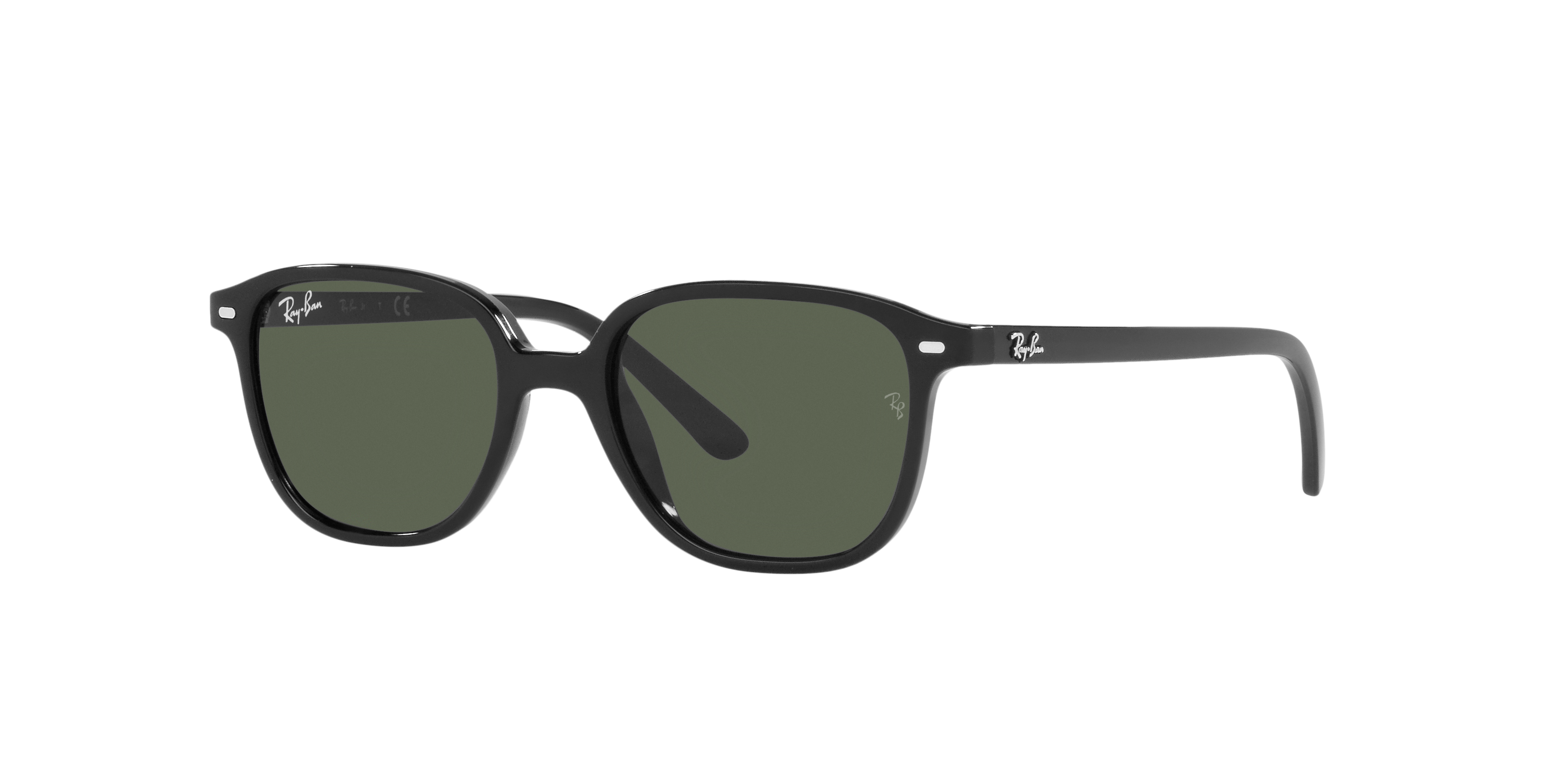 RB9093S Black/Dark Green/Polarized