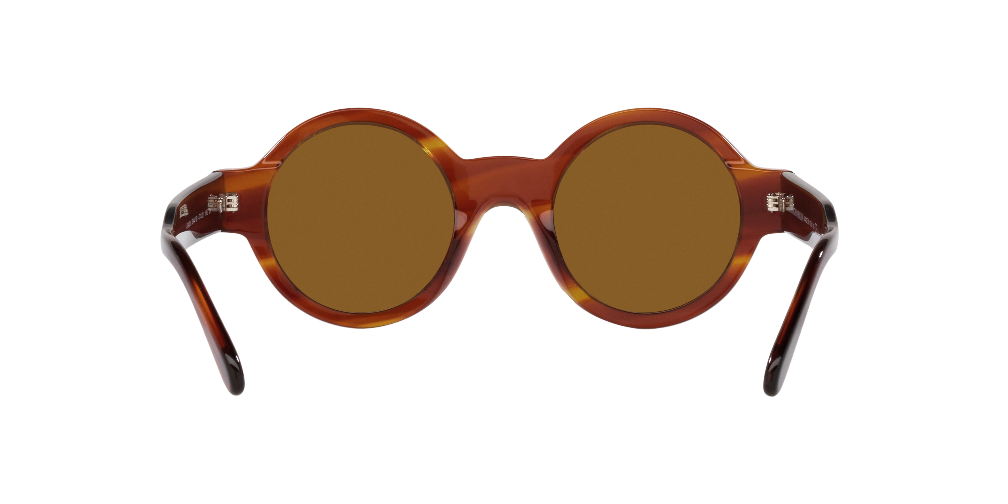 AR 903M Havana/Brown