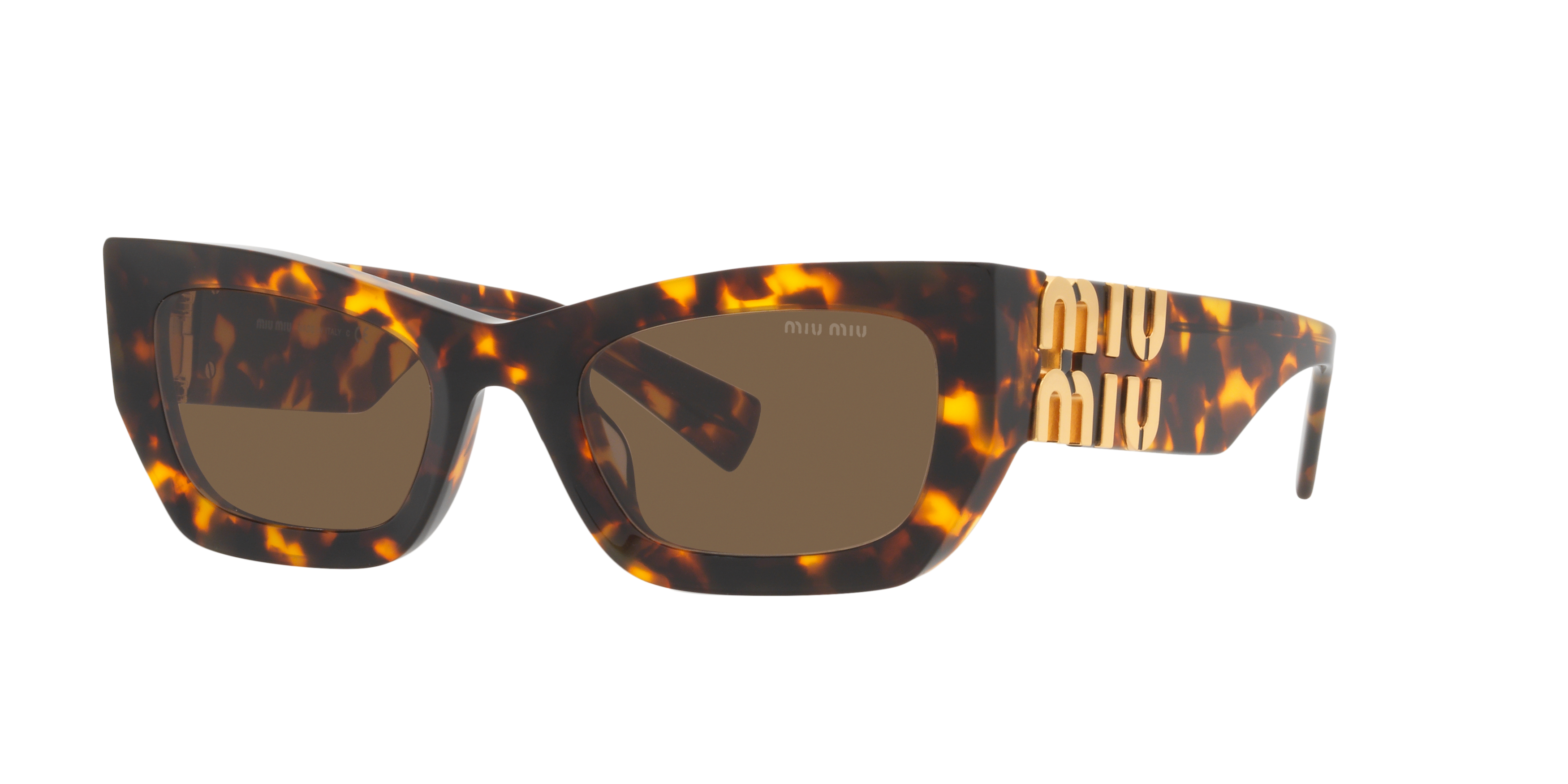 MU 09WS Tortoise/Dark Brown/Polarized