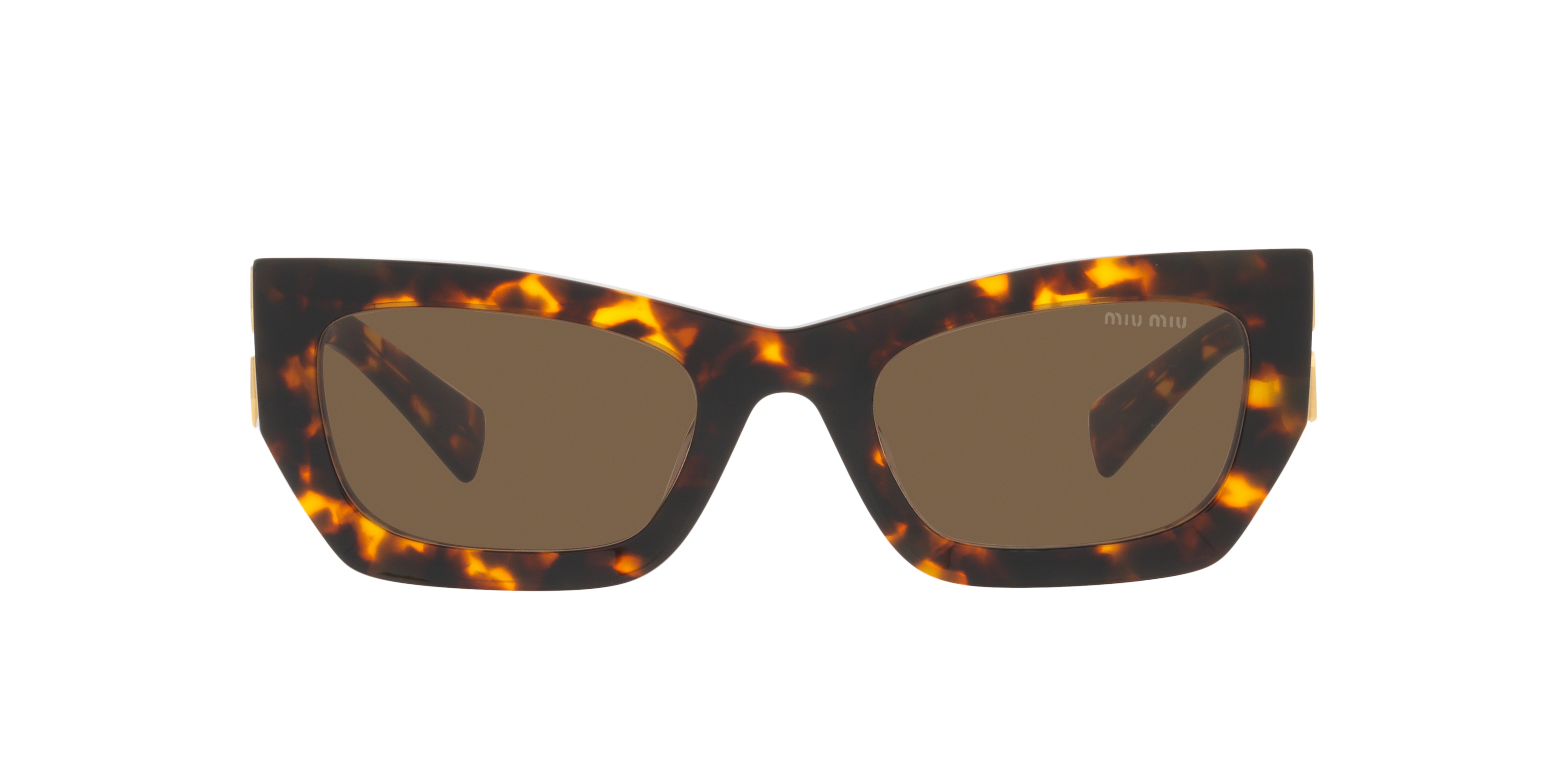 MU 09WS Tortoise/Dark Brown/Polarized