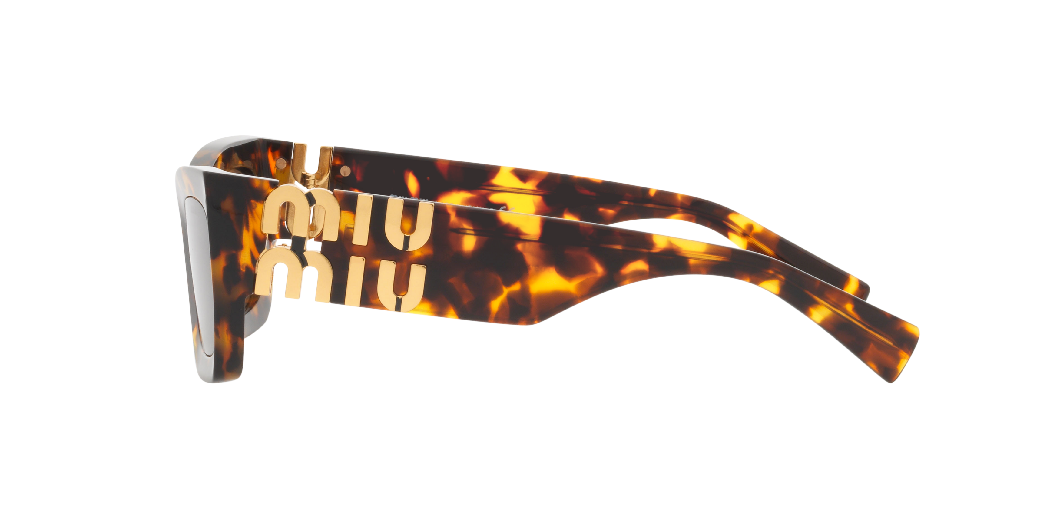 MU 09WS Tortoise/Dark Brown/Polarized