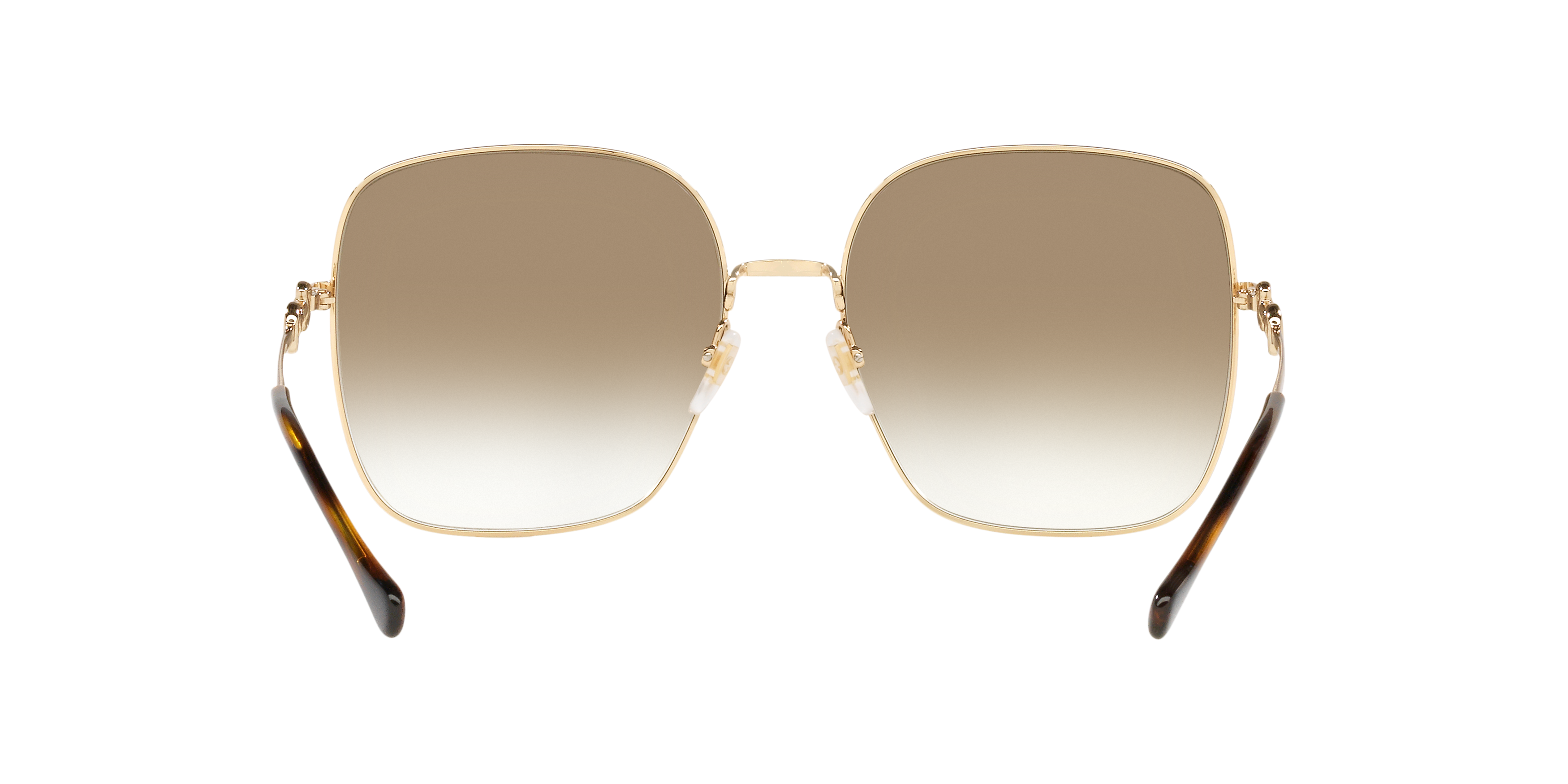 GC001507 Gold/Brown