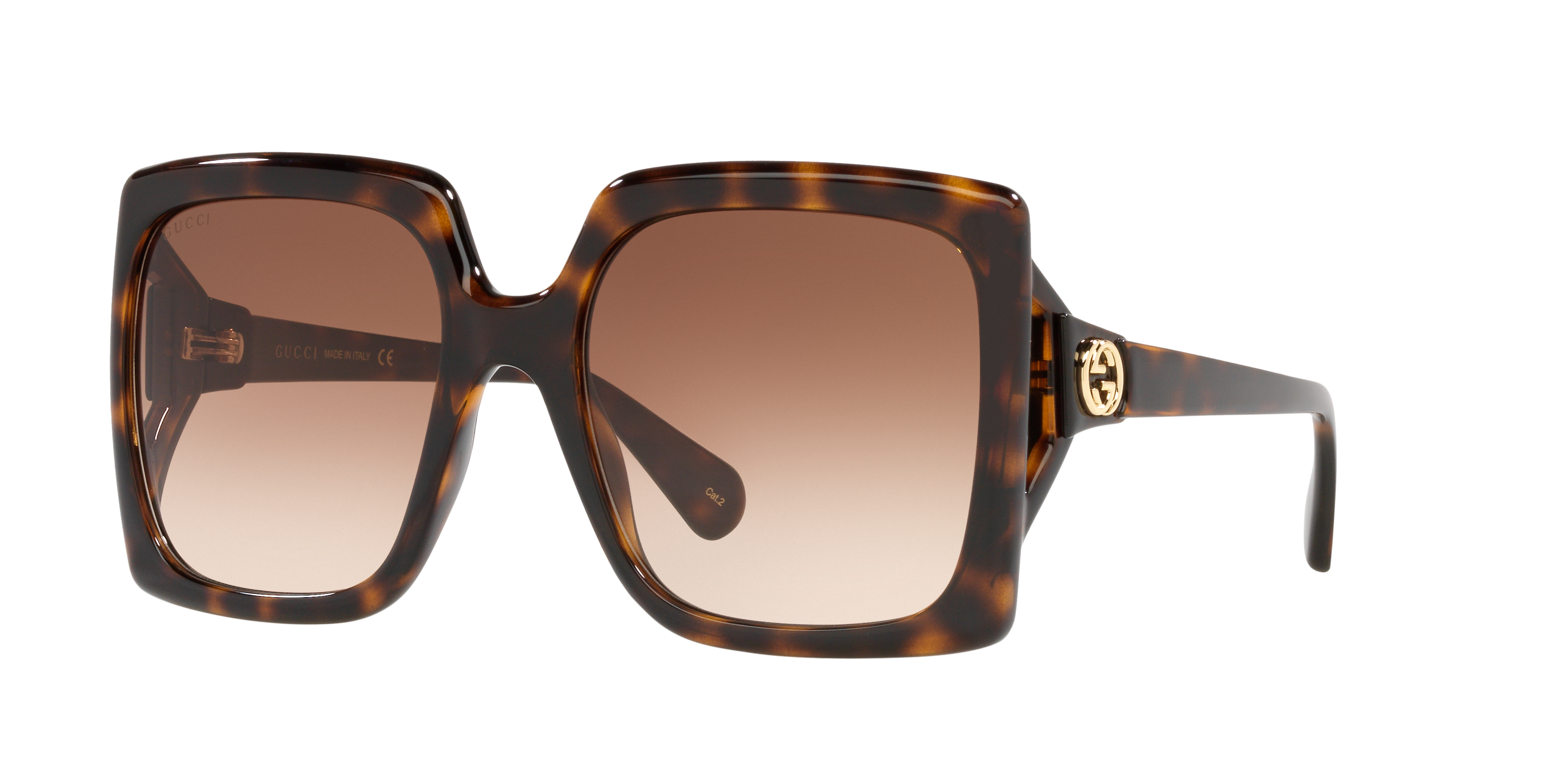 GC001504 Tortoise/Brown