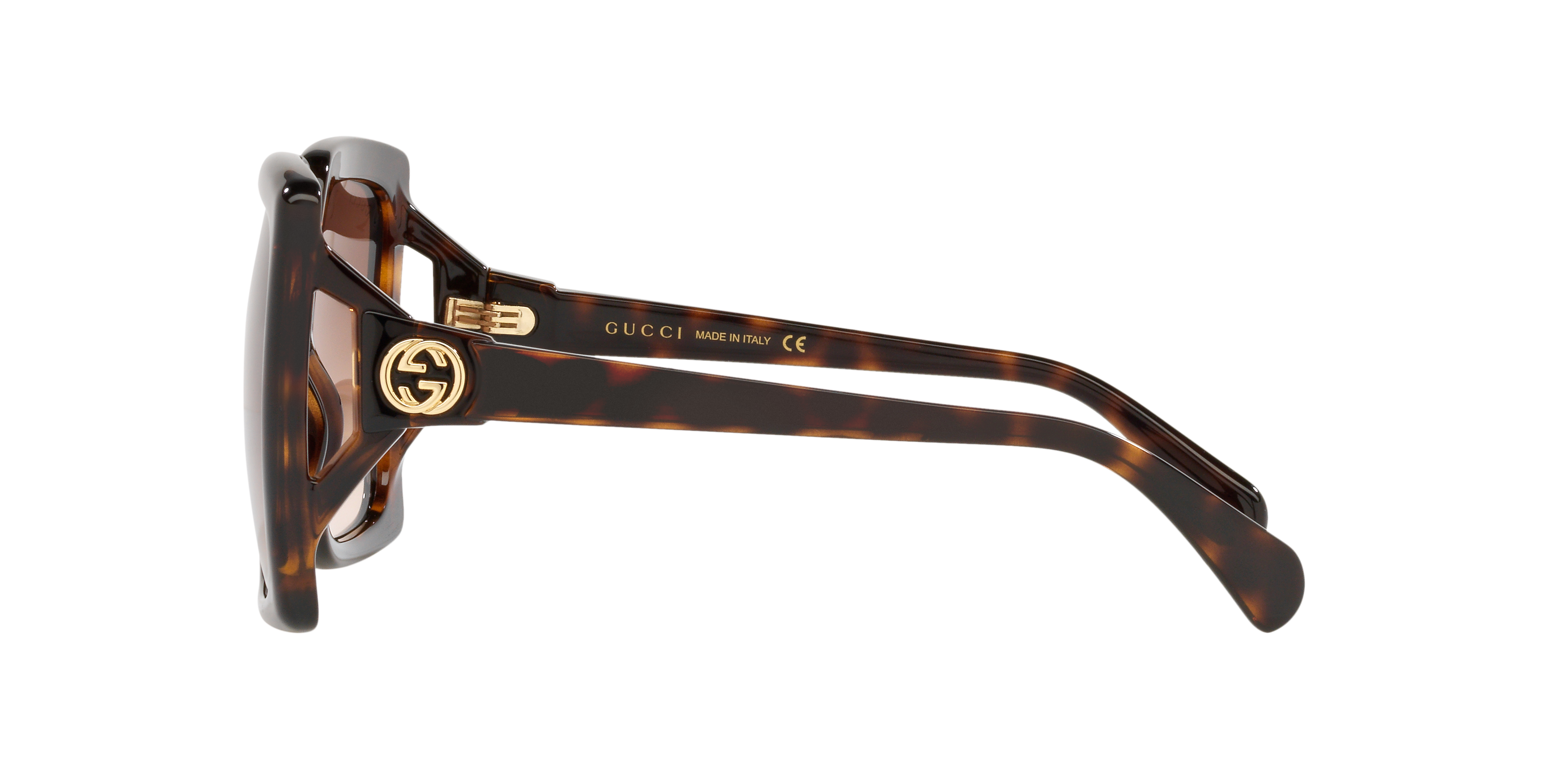 GC001504 Tortoise/Brown