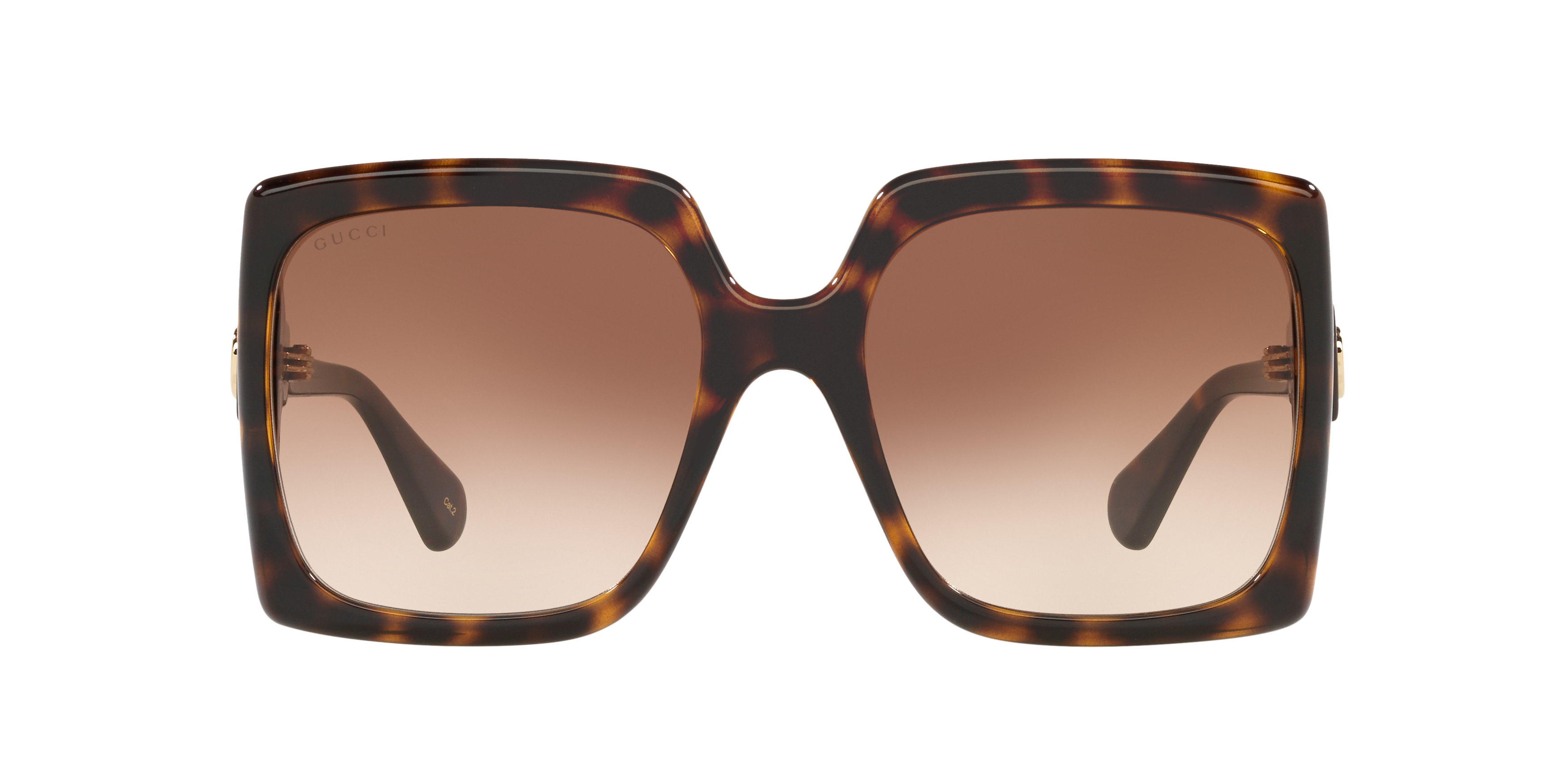 GC001504 Tortoise/Brown