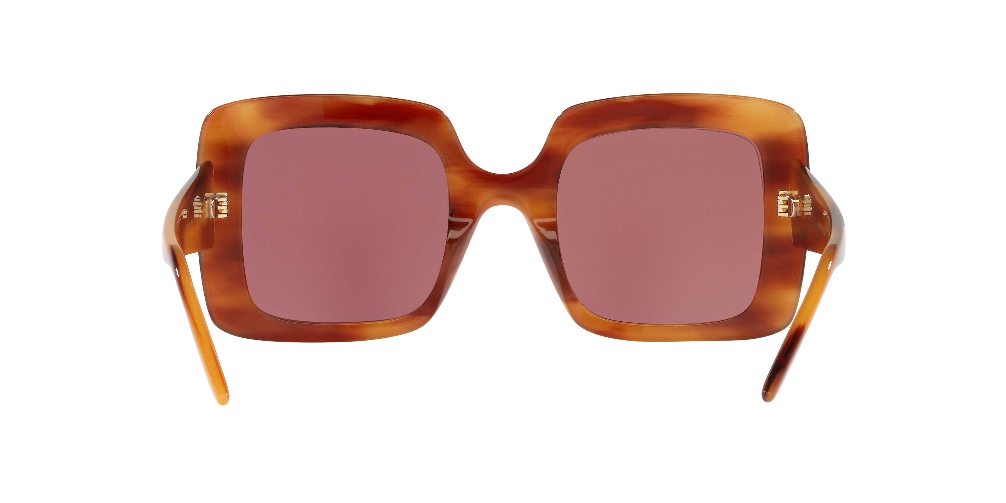GC001518 Brown/Purple