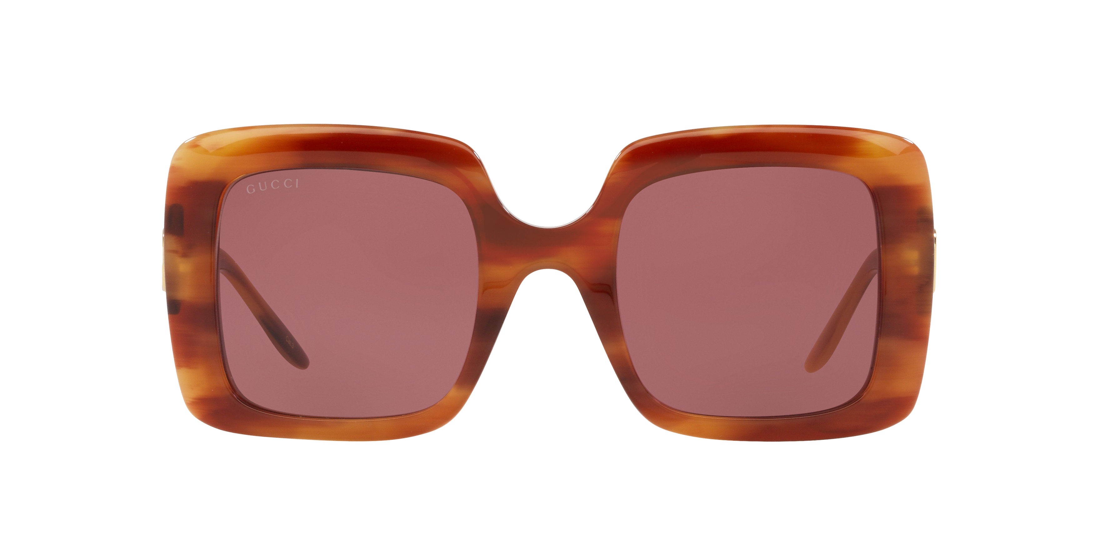 GC001518 Brown/Purple