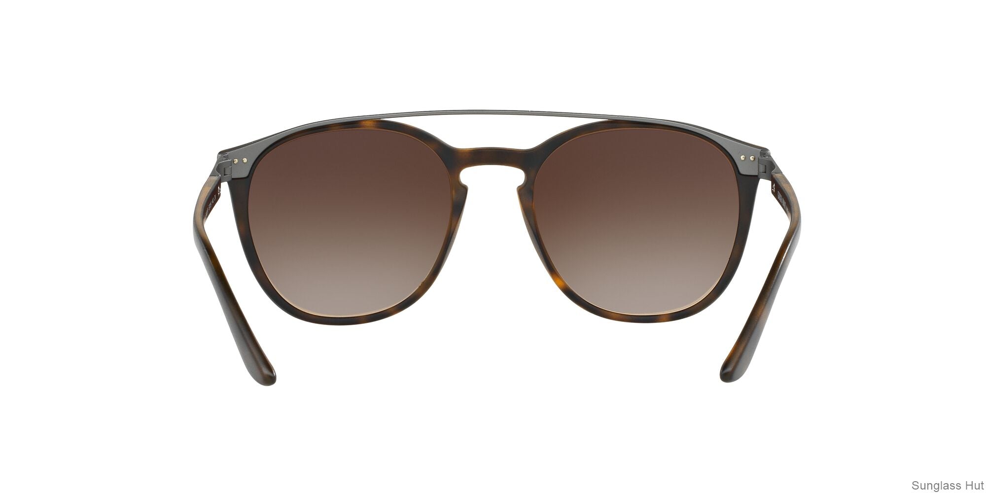 AR8088 /Brown Gradient L