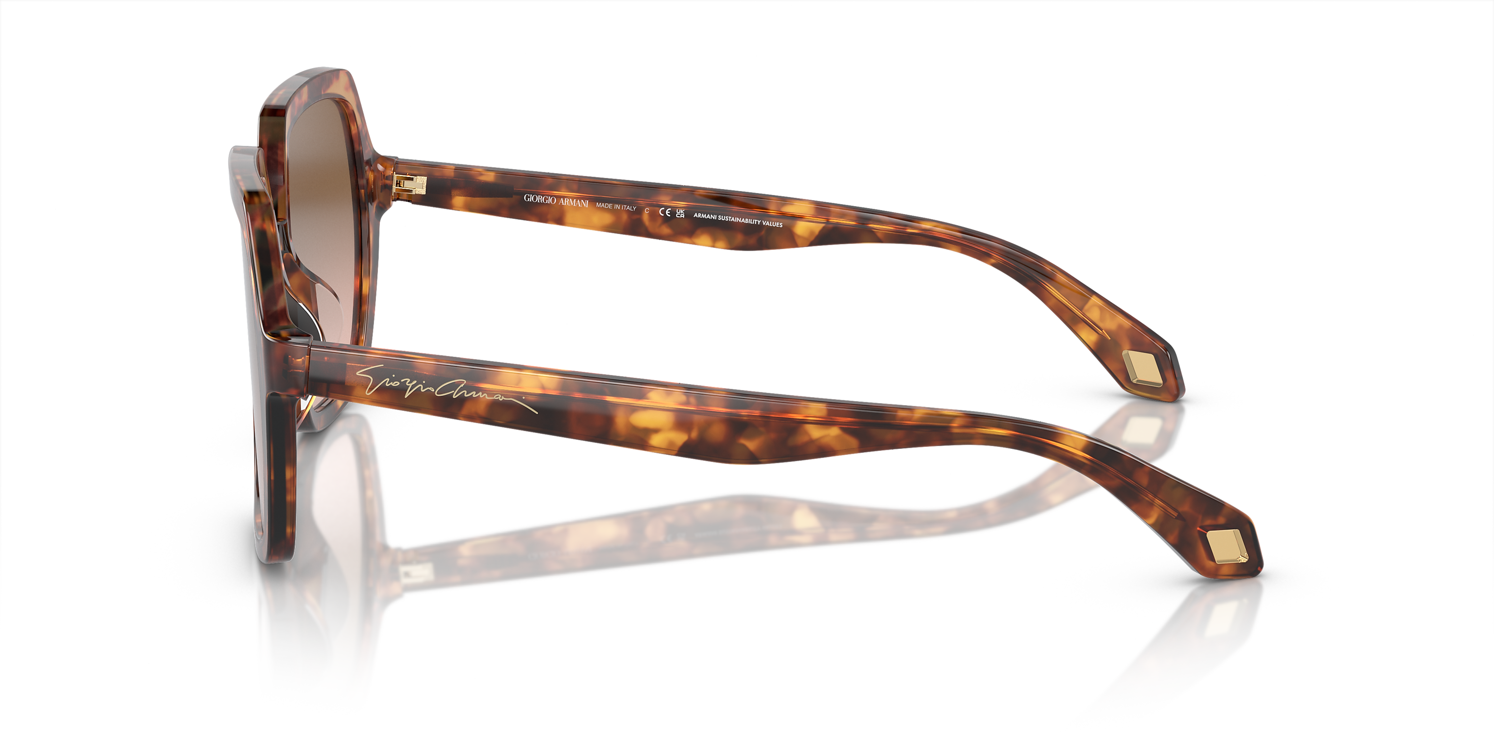 AR8193U Tortoise/Brown Gradient XL