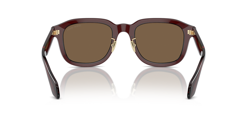AR8206 Giorgio Armani Brown L