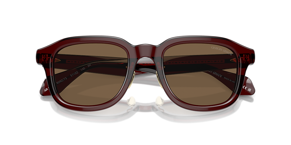 AR8206 Giorgio Armani Brown L