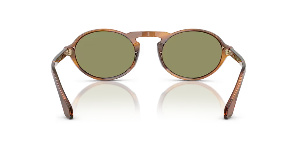 AR8219U Tortoise/Green M