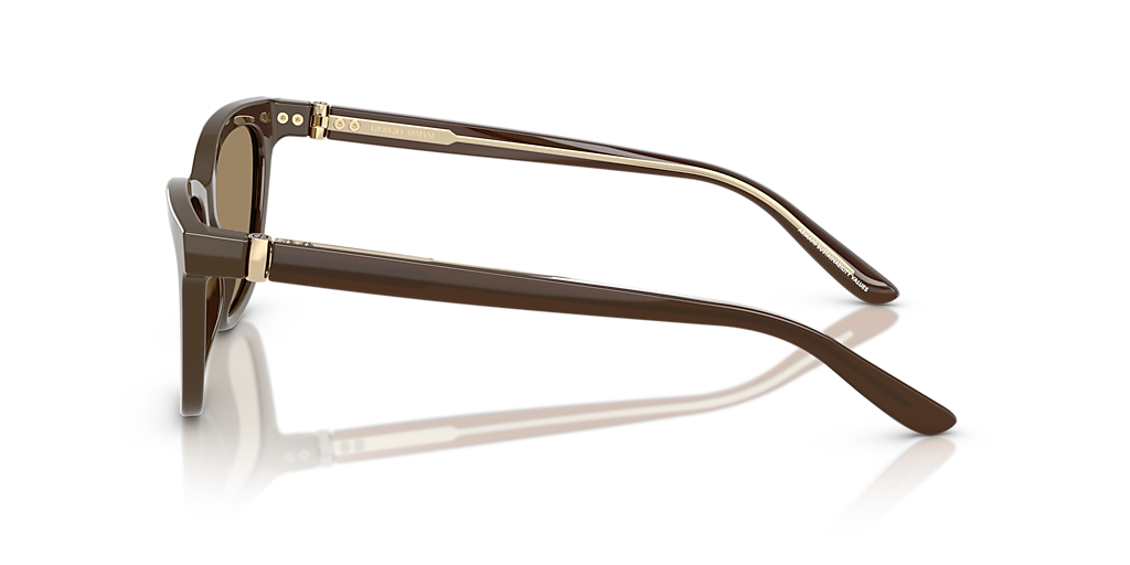 AR8221 Giorgio Armani Brown XXL