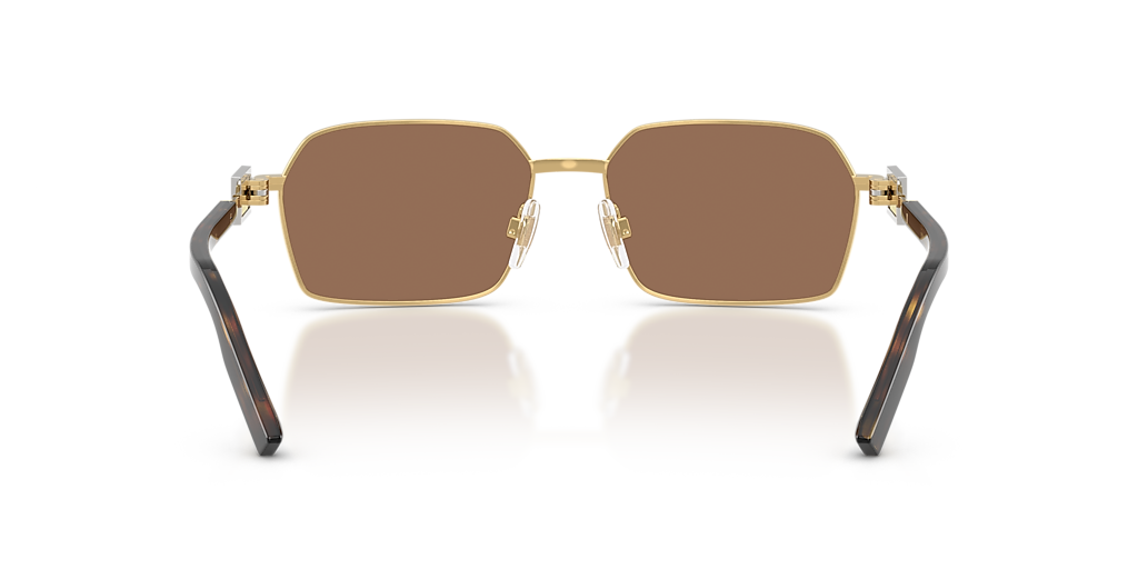 DG2316 Dolce & Gabbana Gold/Brown L