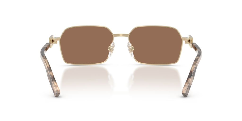 DG2316 Dolce & Gabbana Gold/Brown L