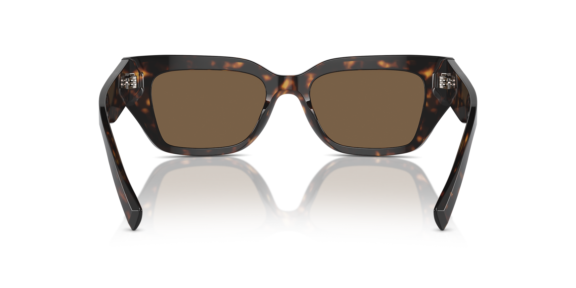 DG4462 Dolce & Gabbana Havana/Brown M