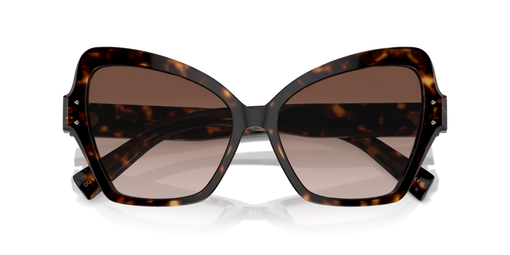DG4463 Dolce & Gabbana Havana/Brown L