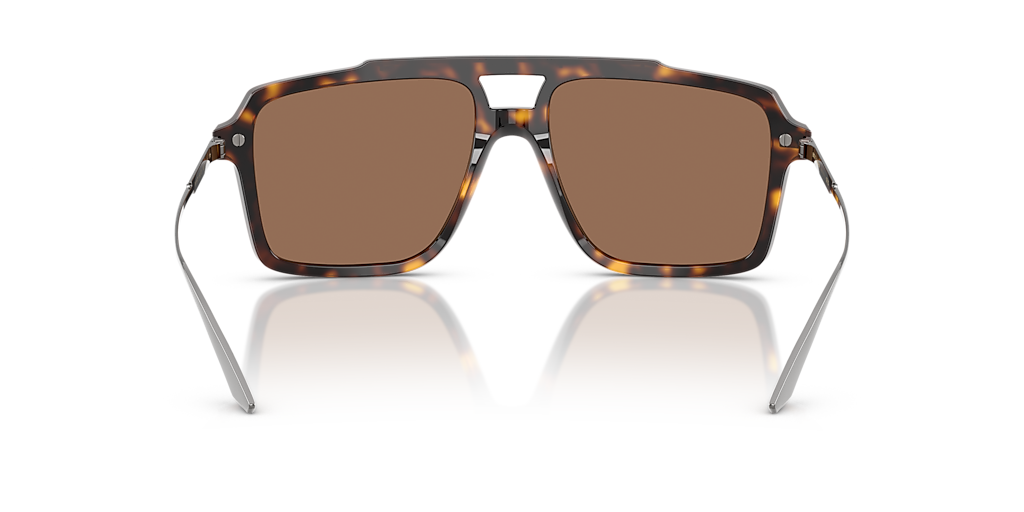 DG4477 Dolce&Gabbana Havana/Dark Brown XXL