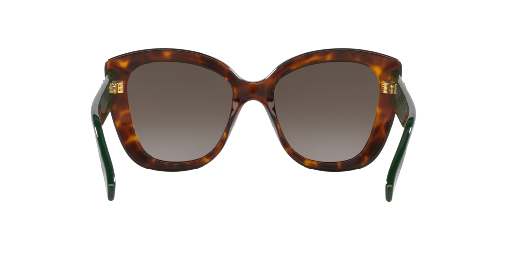 Core Collection Gucci Tortoise/brown S