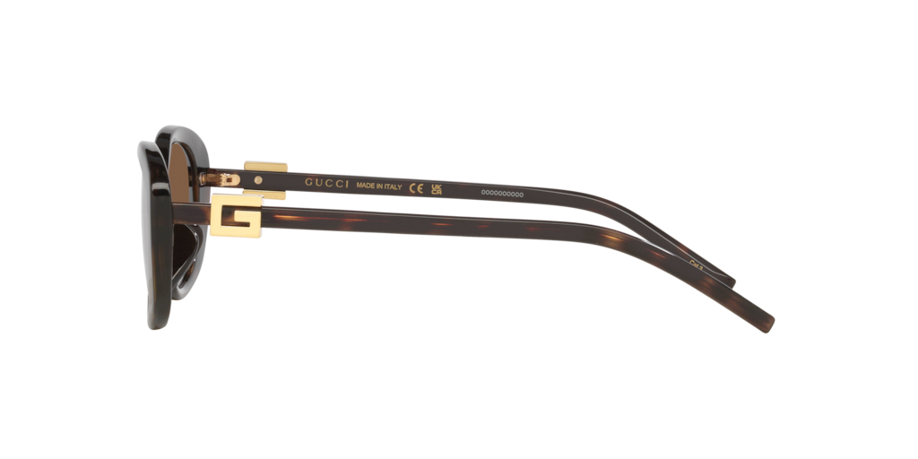 GG1684SA Gucci Havana/Brown M