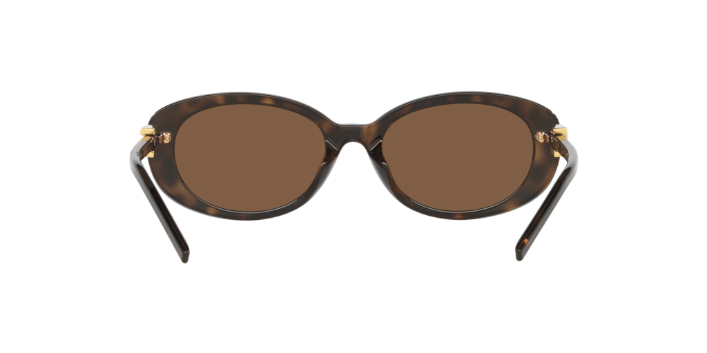 GG1684SA Gucci Havana/Brown M