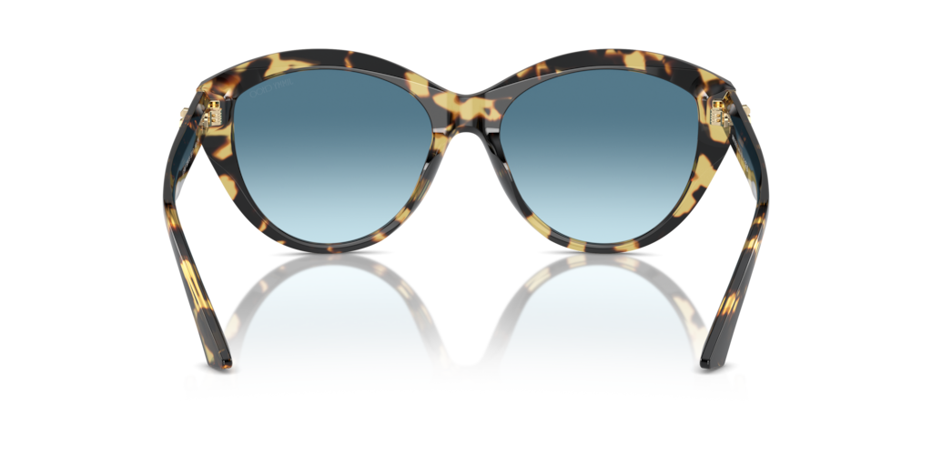 JC5007 Tortoise/Gradient Blue M
