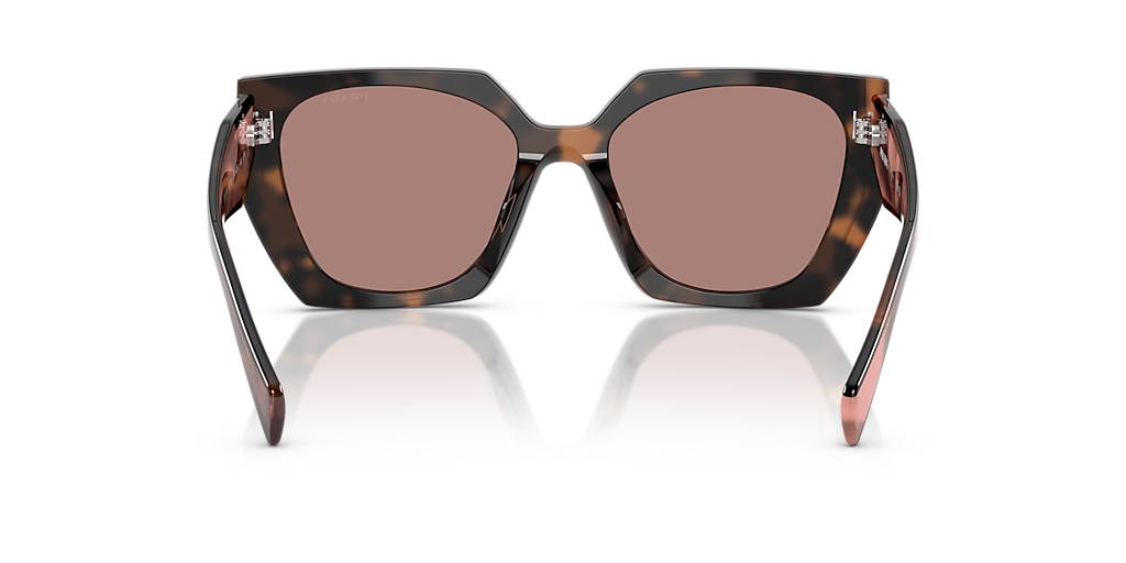 PR 15WS Havana/Light Brown M