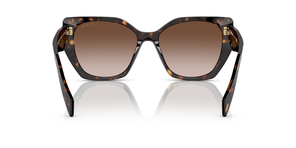 PR 19ZS Tortoise/Brown Gradient M