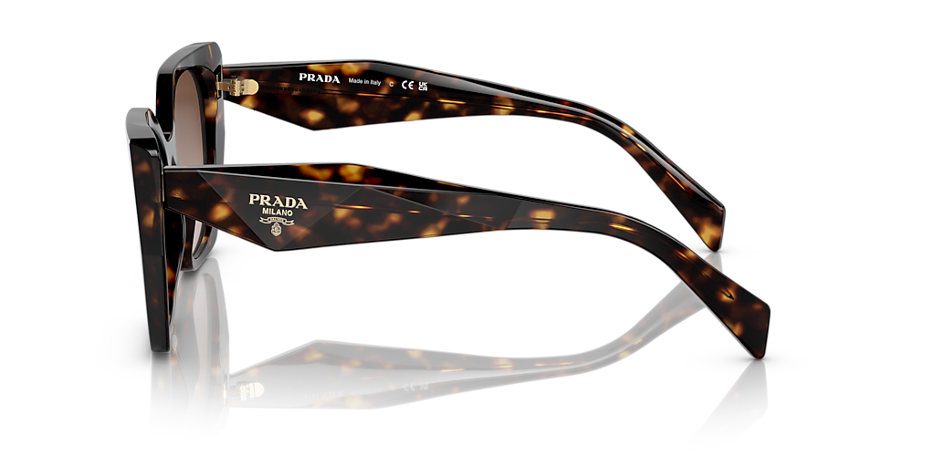 PR 19ZS Tortoise/Brown Gradient M