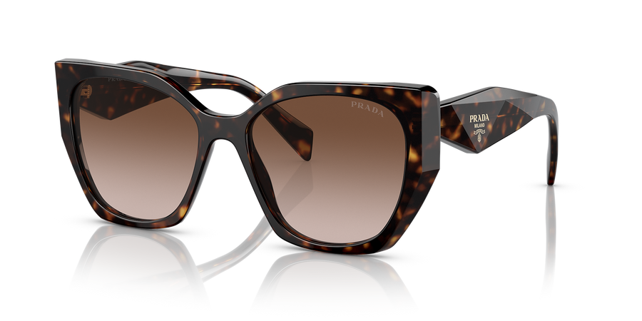 PR 19ZS Tortoise/Brown Gradient M