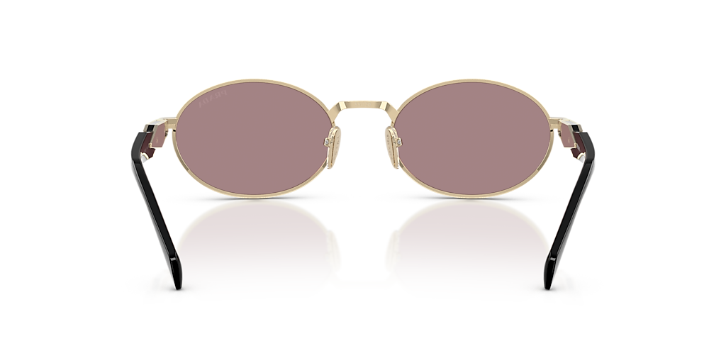 PR 65ZS Black/Light Purple Brown L