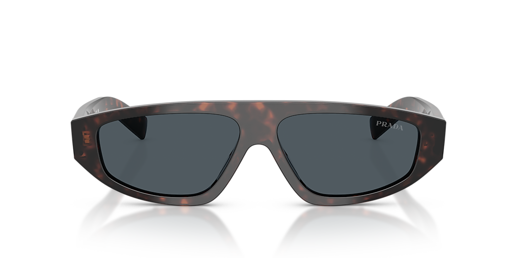 PR C02S Tortoise/Grey L