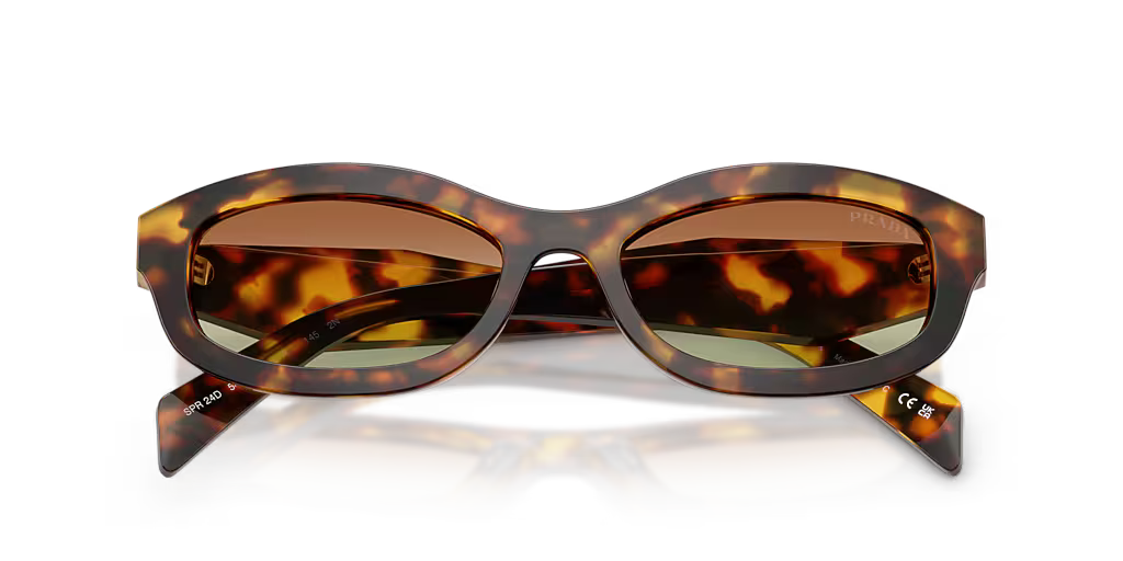 PR D24S S (54 - 18) Green / Tortoise