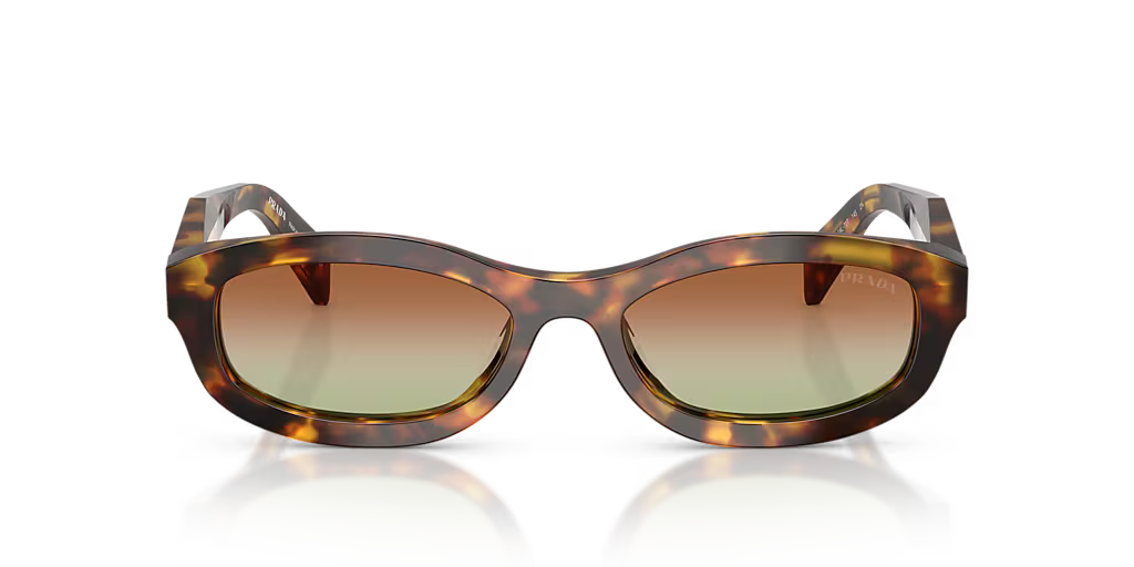 PR D24S S (54 - 18) Green / Tortoise